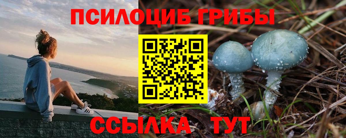 Галлюциногенные грибы MAGIC MUSHROOMS Губкин